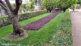 Soluciones Florales en el Rincón de Lucas Malla - Parque Miguel Servet Huesca