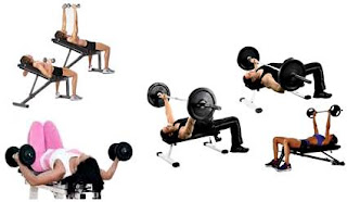 Los mejores ejercicios para ganar masa muscular según la ciencia