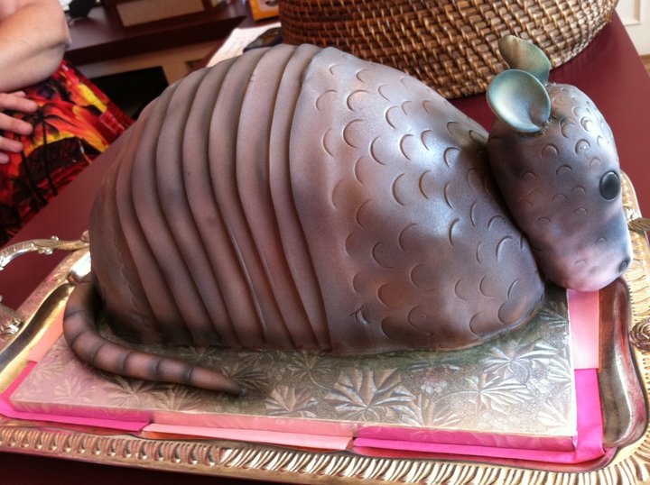 paloreadro steel magnolias armadillo cake