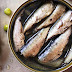 Canned Sardine from Morocco High Quality
