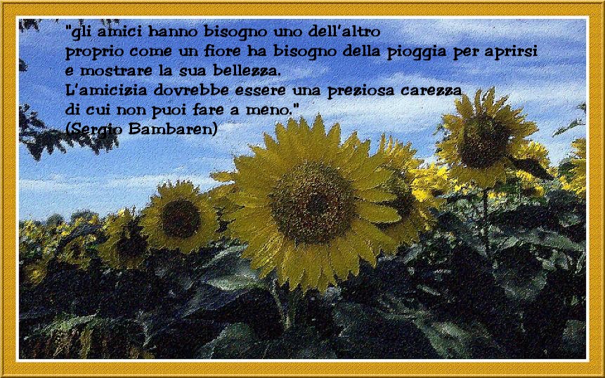 Frase Sui Girasoli La Vita E Bella