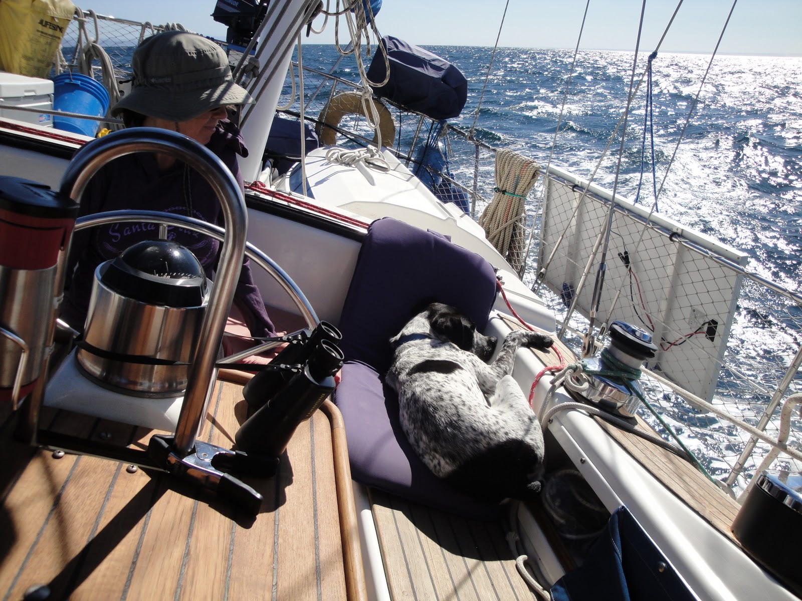 Sailing Pearl December 2011