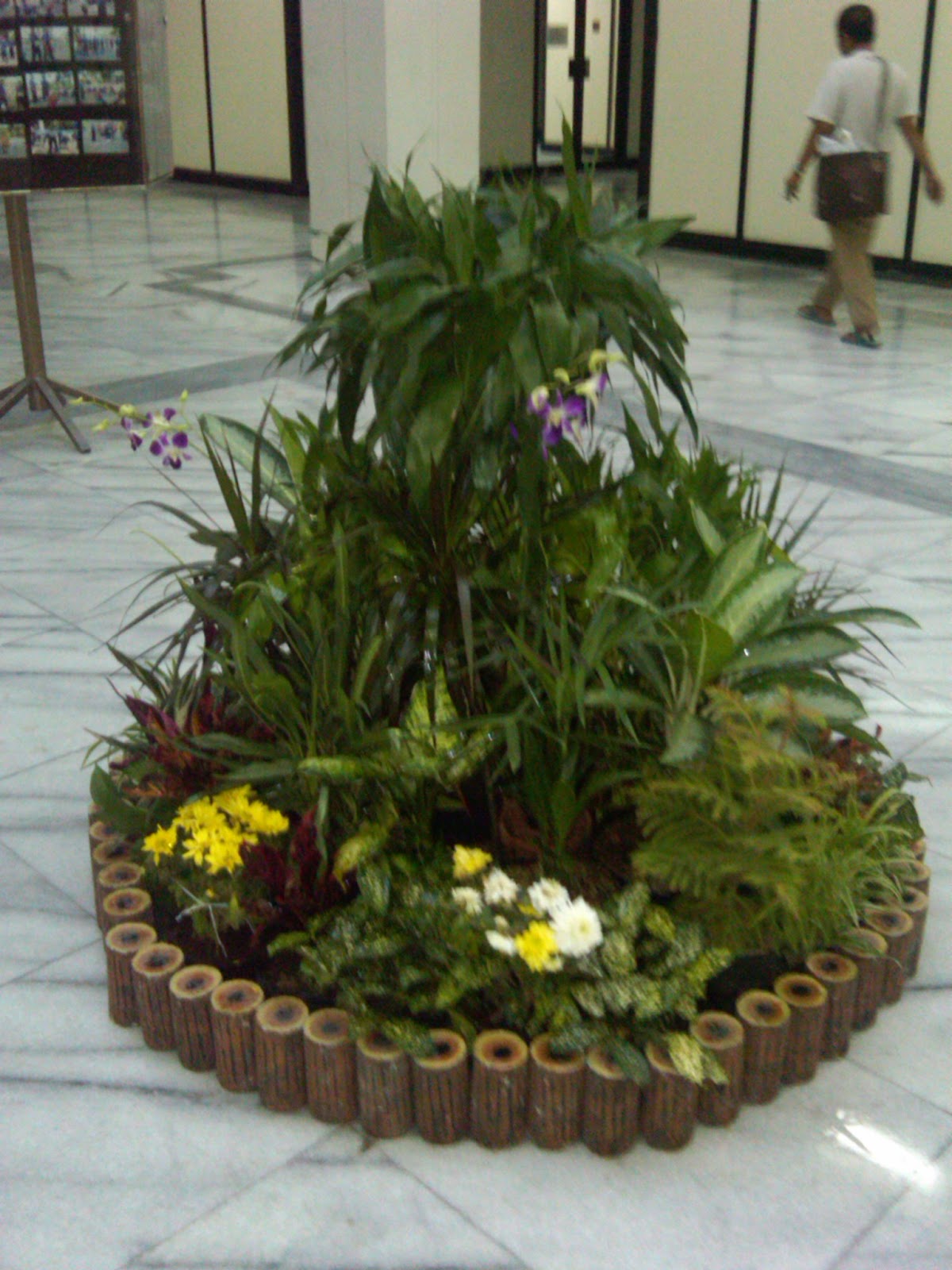 rental tanaman surabaya: DEKORASI TAMAN (MINI GARDEN)