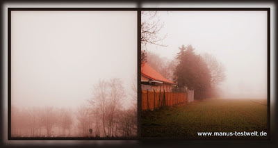 Tierheim im Nebel