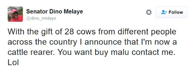 Senator Dino Melaye Declares Himself a Cattle Rearer After Receiving 28 Cows as Easter Gifts