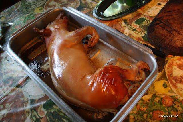 Poids cochon de lait - cheercau80siorep