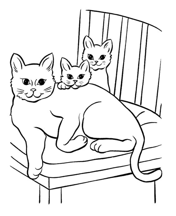 Tranh tô màu con mèo trên ghế