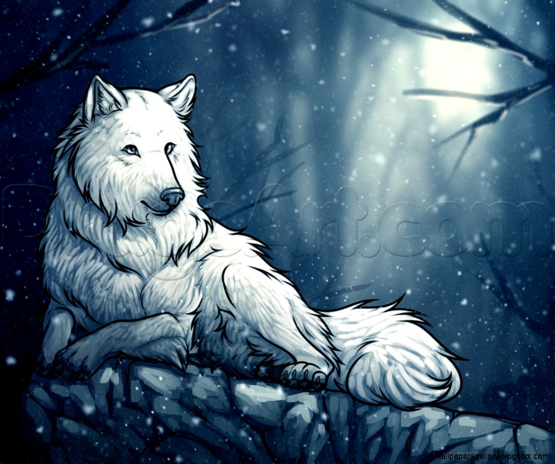 White Wolf Anime | Wallpapers Gallery