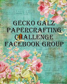 Gecko Galz Facebook Challenge