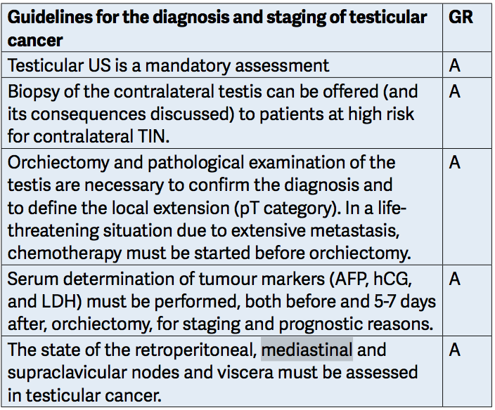 Testicular cancer Diagnostic evaluation