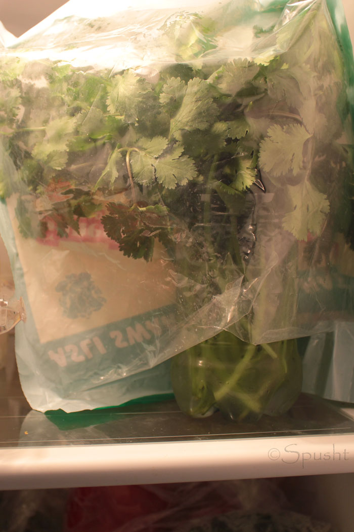 Spusht How to store coriander leaves and keep cilantro fresh