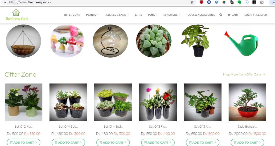 Pebbles Terrarium Blog Terrarium Sale Classes in Bangalore