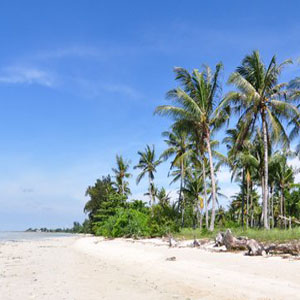 Homestay Pulau Pari - Paket Pulau Pari Saulendra Tours Homestay Pulau Pari - Paket Pulau Pari Saulendra Tours