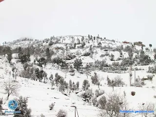 Snow in Ketama Morocco picture and videos