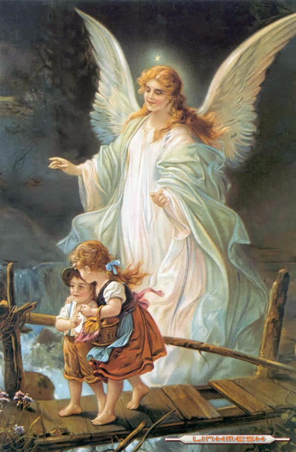 Dreams, Dogs, Deserts and Druids Samhain and Angel Wings
