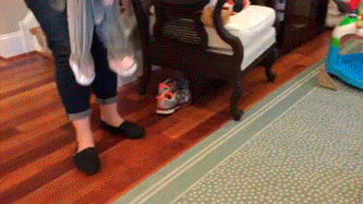 1.gif