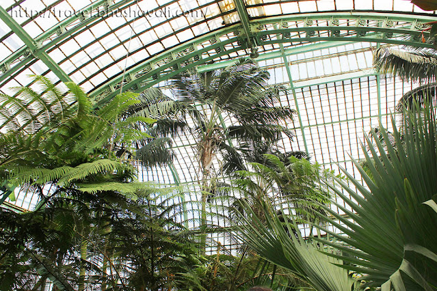 Royal Greenhouses of Laeken Places to visit in Brussels in Spring