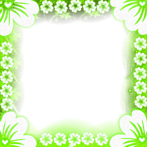flower frame Soniaeditor