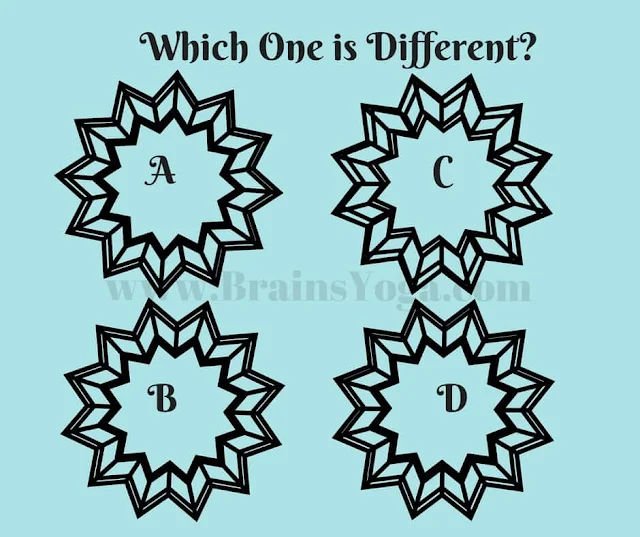 Odd One Out Picture Puzzle: Spot the Difference!