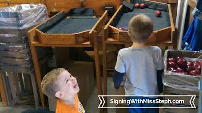 two boys watch a conveyor belt sorts apple by size