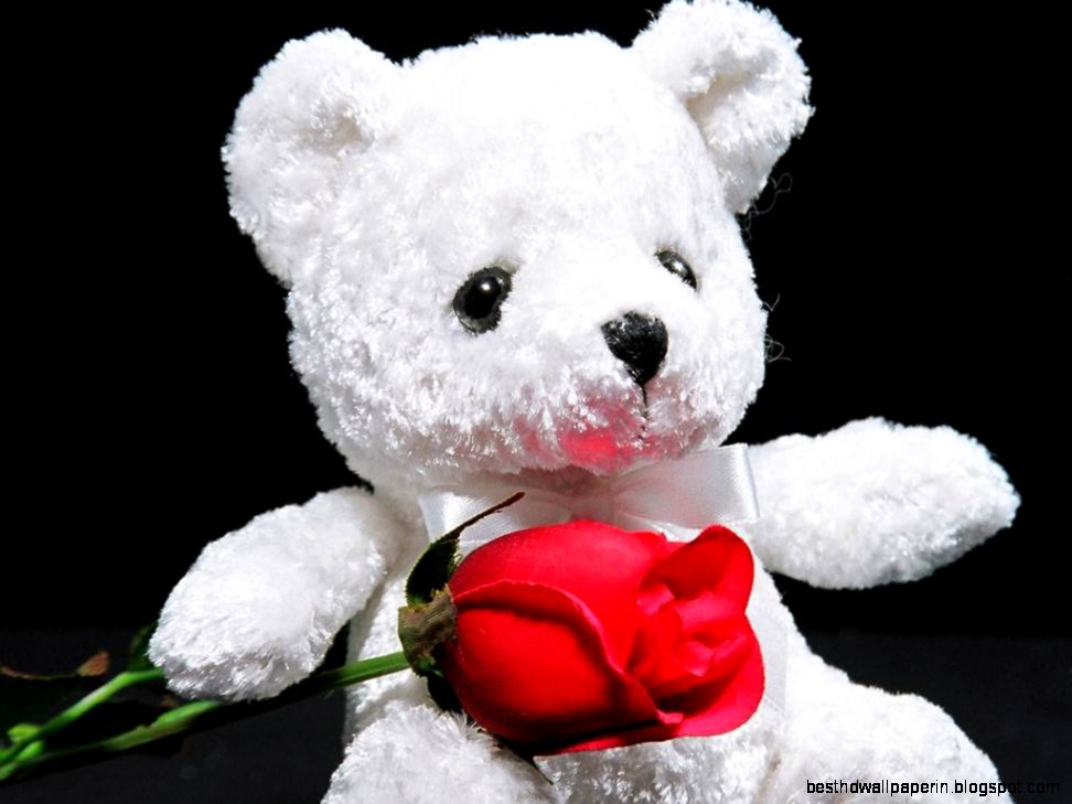 25 Smart Looking Teddy Bear Wallpapers  Life Quotes