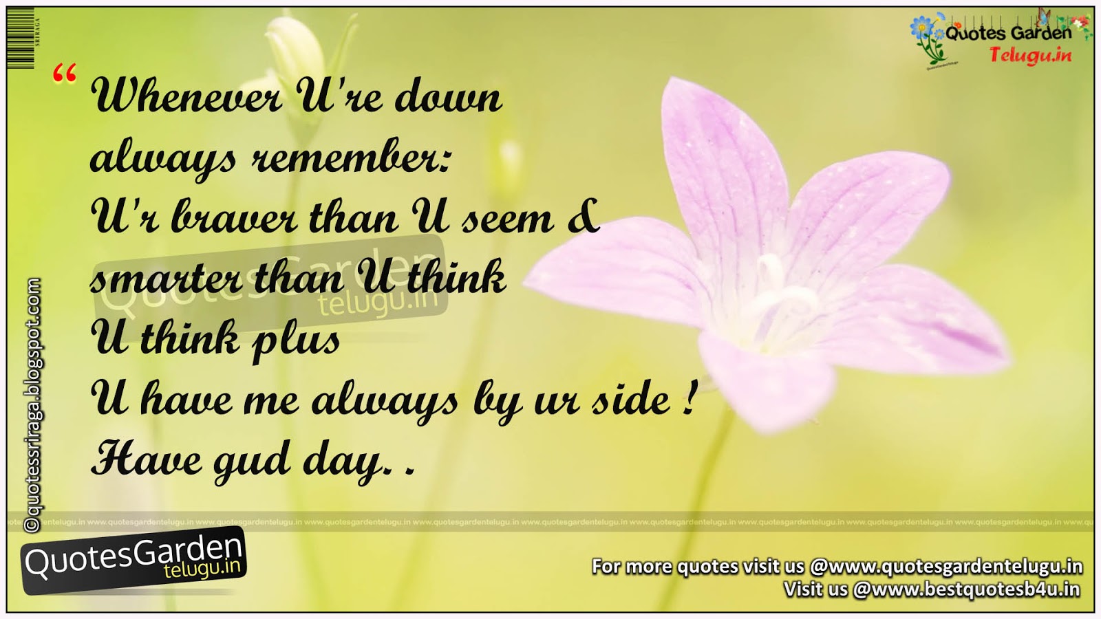 Have A Nice Day Quotes Beautiful Messages Quotes Garden Telugu Telugu Quotes English Quotes Hindi Quotes