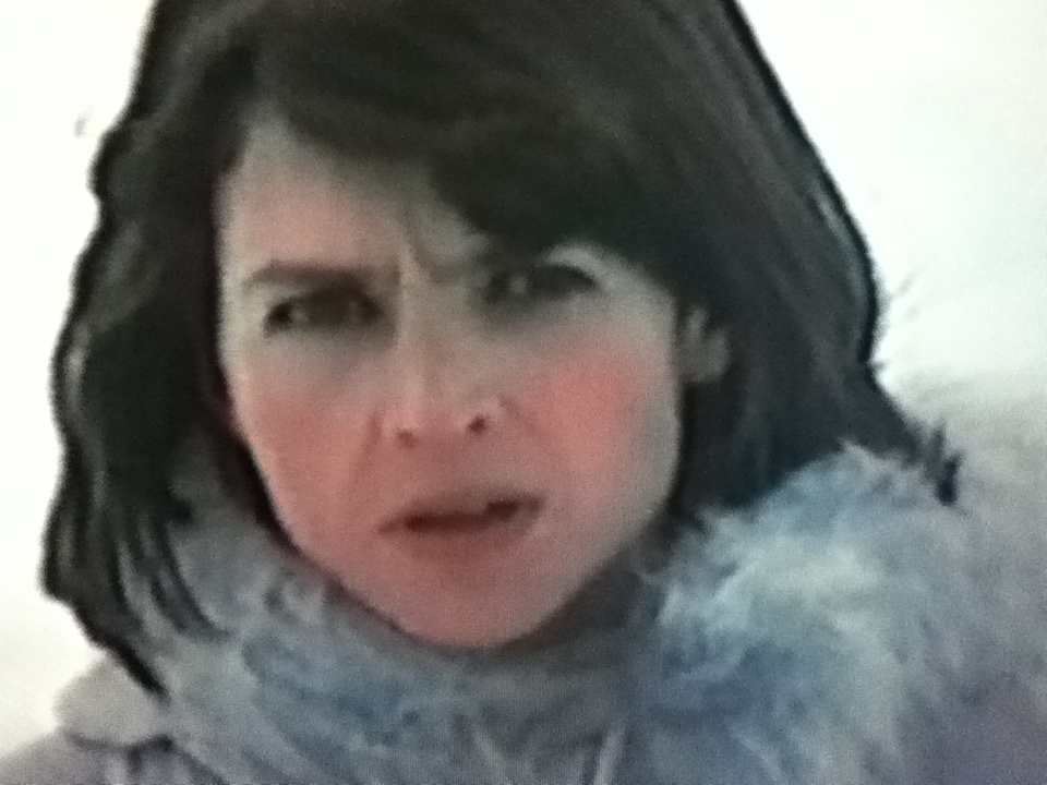 Fräulein Smillas Gespür Für Schnee