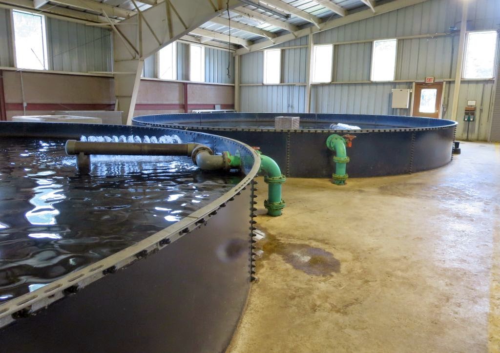 Windswept Adventure The Adirondack Fish Hatchery In Lake Clear, New York