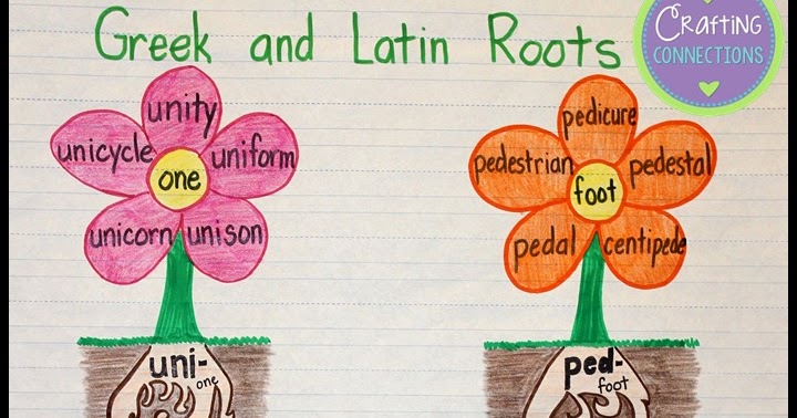 Latin Roots Chart