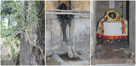 Snake worship shiva in thepperumanallur shiva temple