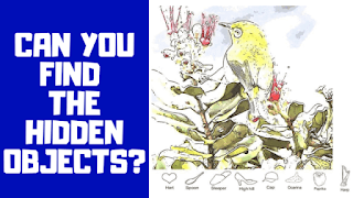Can you Find the hidden objects?