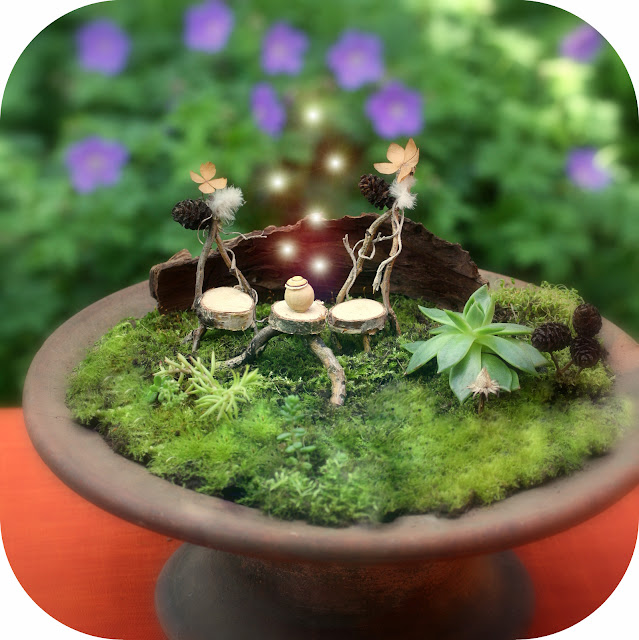 Daily Colours Fairy Gardens Fairy Moss Terrace