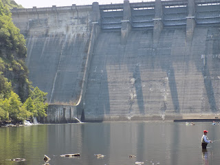 hill center river dam tennessee caney paddle awesome