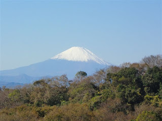 建長寺からの富士