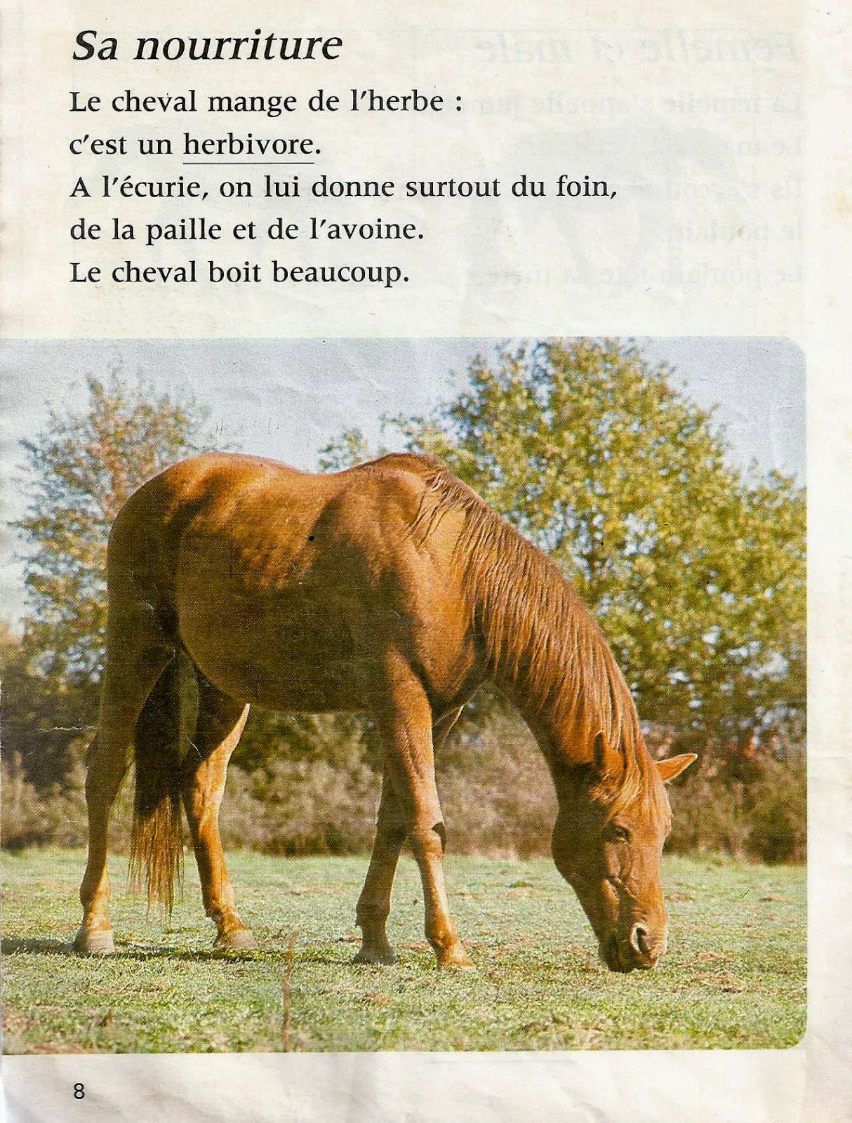 Leçons de choses Le cheval Leçons de choses Le cheval