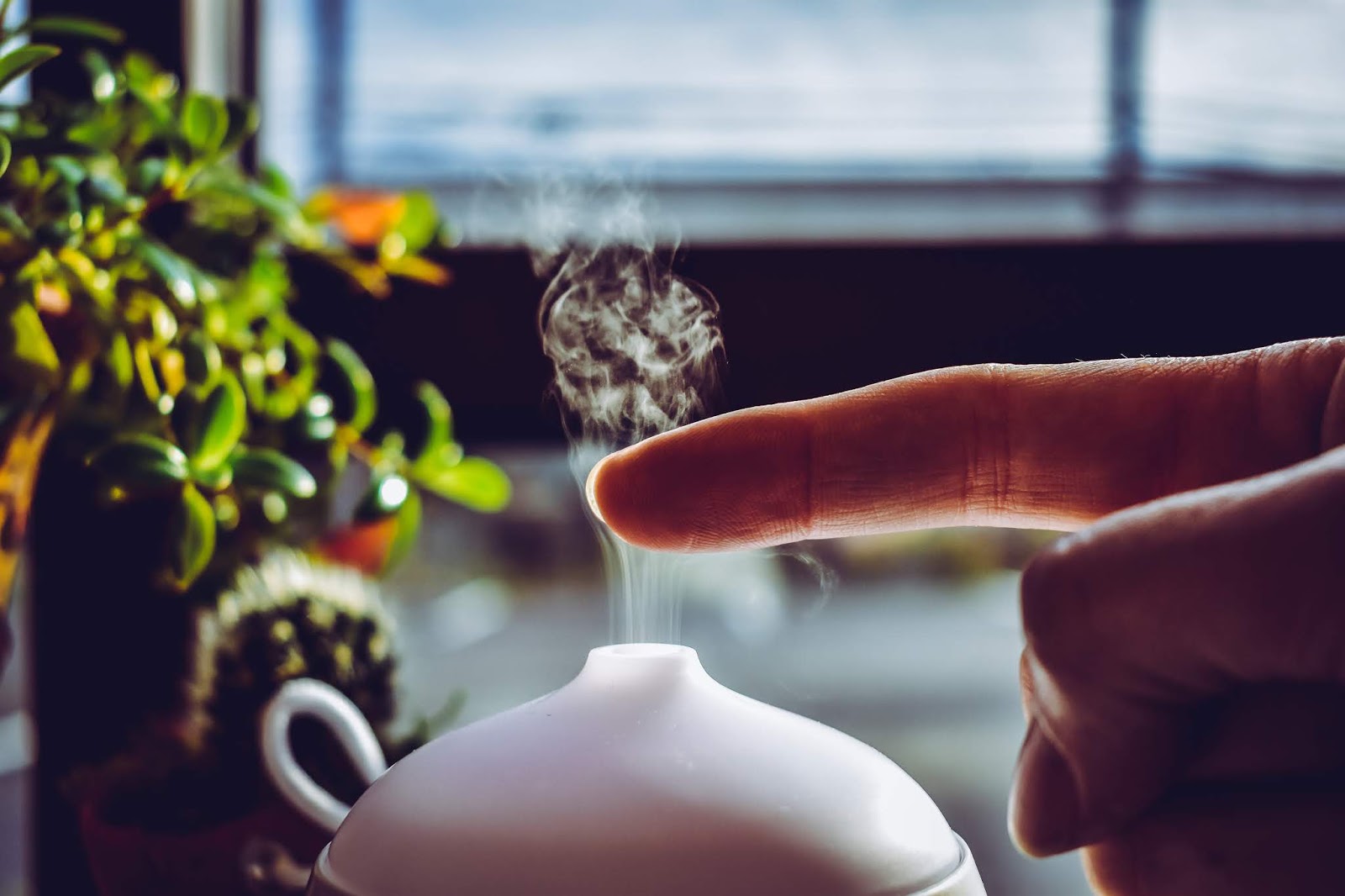 best affordable diffuser