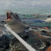 Plásticos e a poluição oceânica