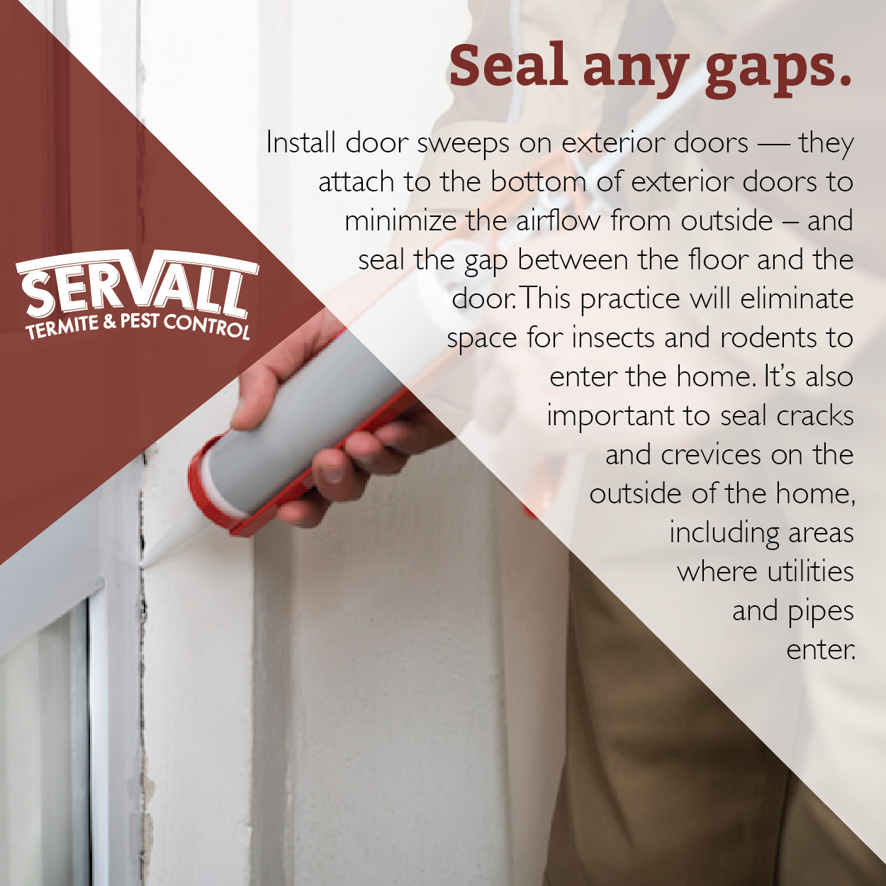 Servall Pest Control Seal any Gaps