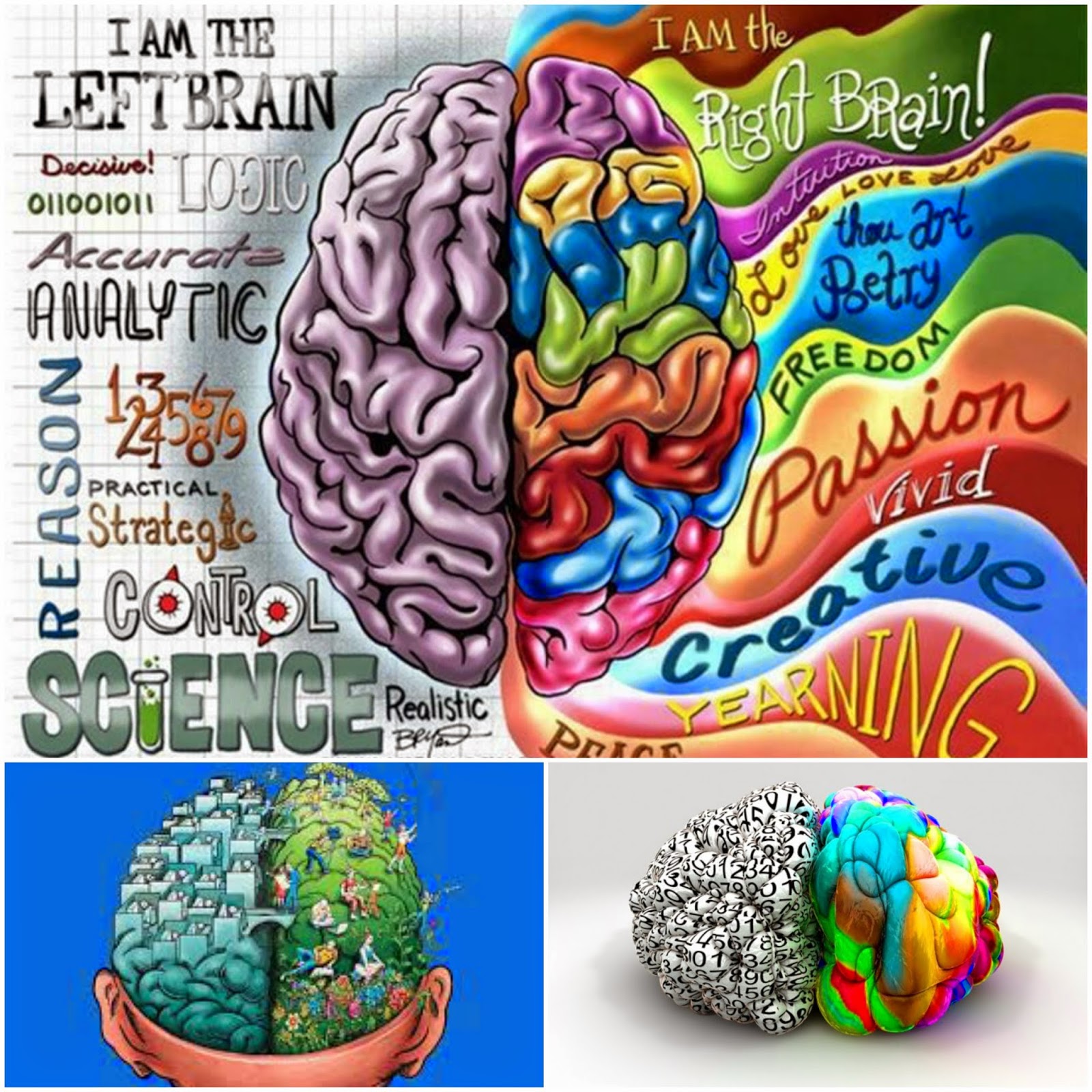 Инфографика в стиле детского рисунка. Brain left and right hemisphere. Left brain vs right brain. Left brain right brain. Left brain right brain.