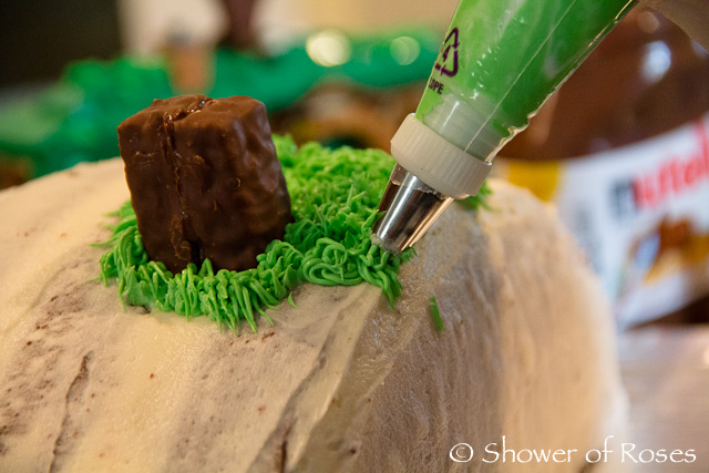Shower Of Roses Bilbo S Hobbit Hole A Hobbit Themed Birthday Cake