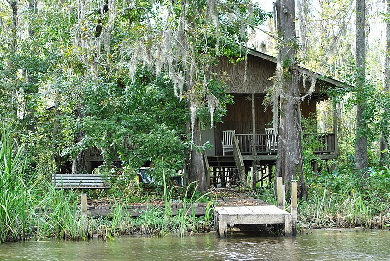 CFZUSA HONEY ISLAND SWAMP MONSTER