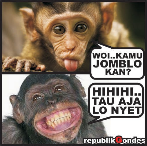 Meme Lucu " Monyet " Bikin Ngakak - Kumpulan Meme Foto Lucu Dan Ngakak