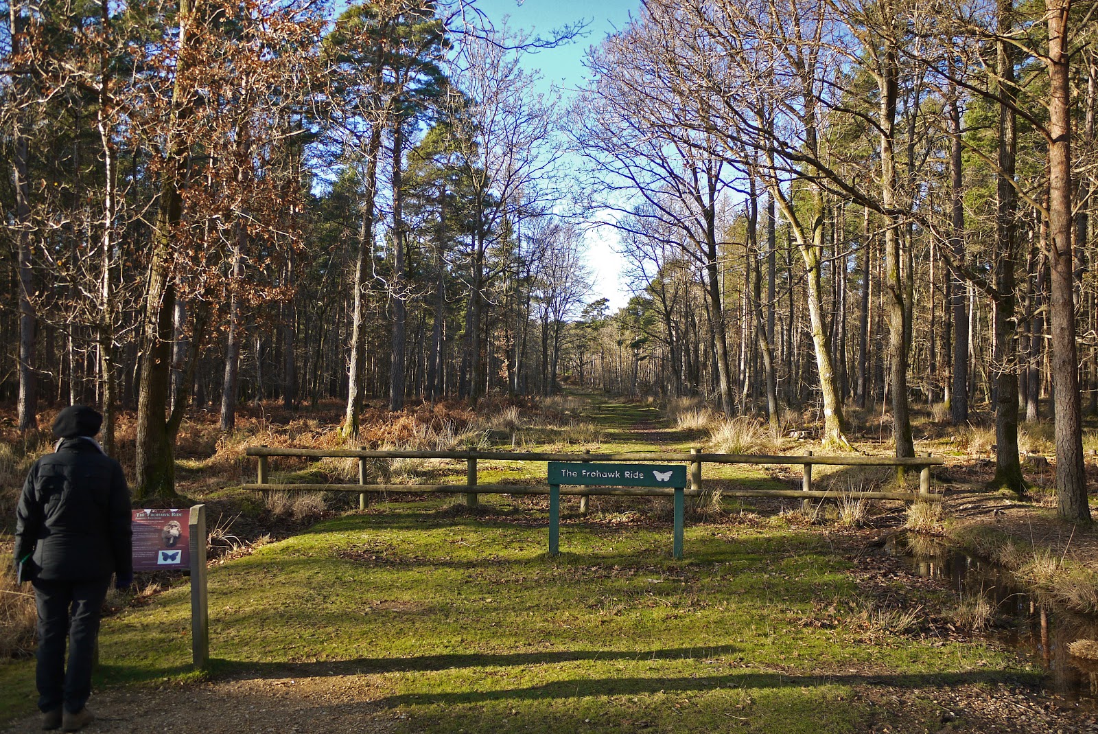 Walking in the country Standing Hat near Brockenhurst