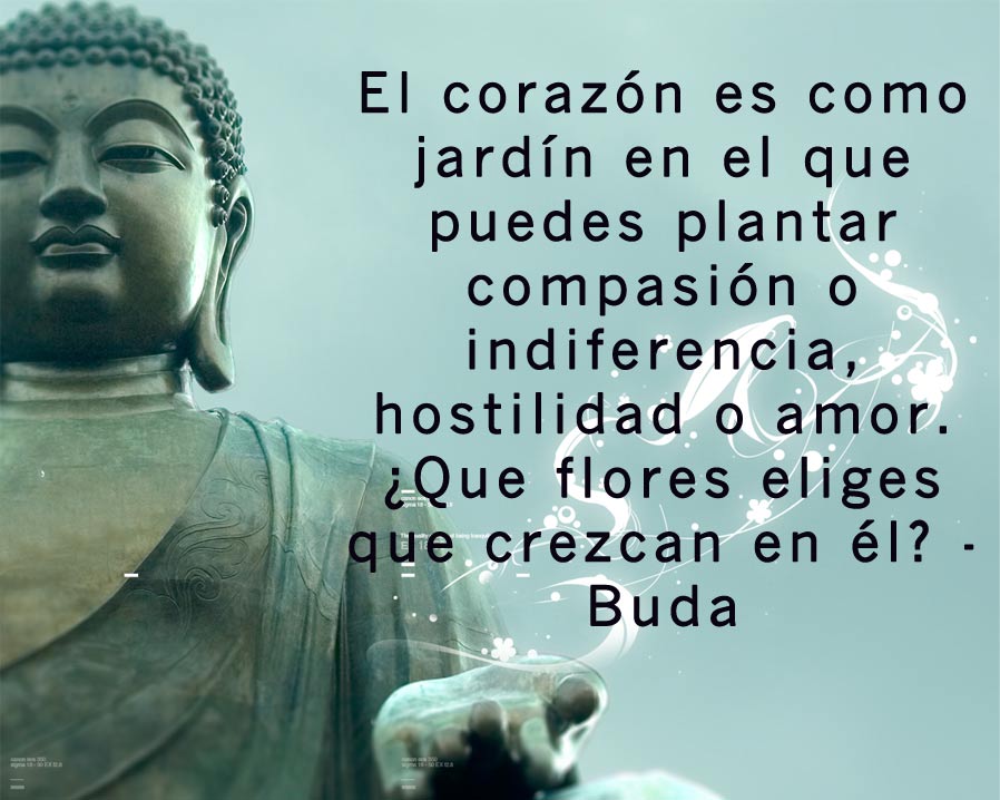 10 enseñanzas de Buda 
