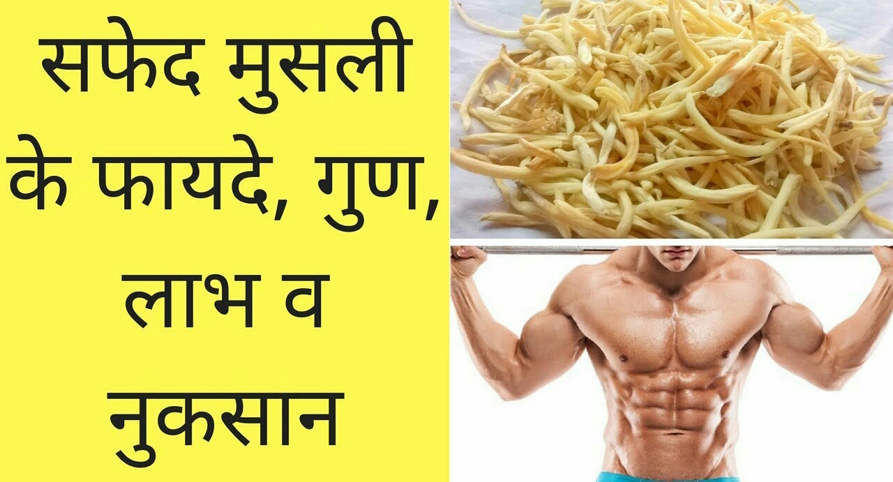 Safed musli kya hai ? Safed musli ke labh our nuksaan, safed musli