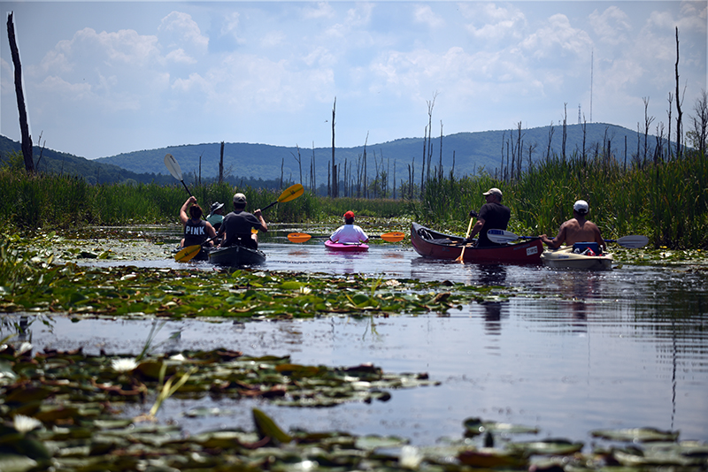 Hudson Valley Kayaks Kayak Rentals Brought to Each Venue Photo