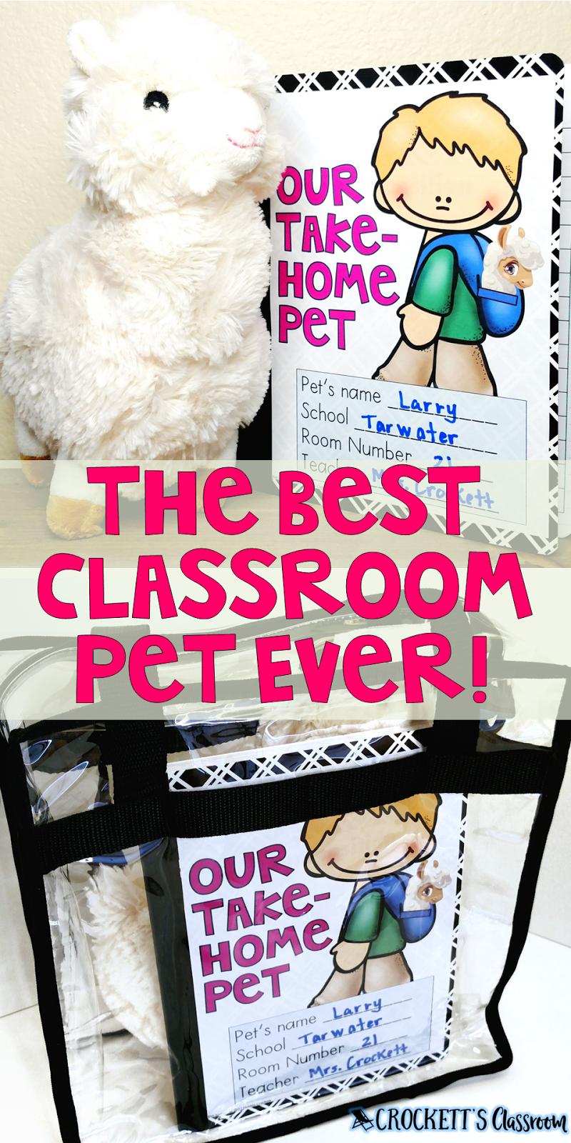 the-best-classroom-pet-ever-crockett-s-classroom