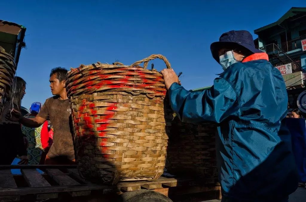 Vegetable Porters La Trinidad Benguet & Baguio City