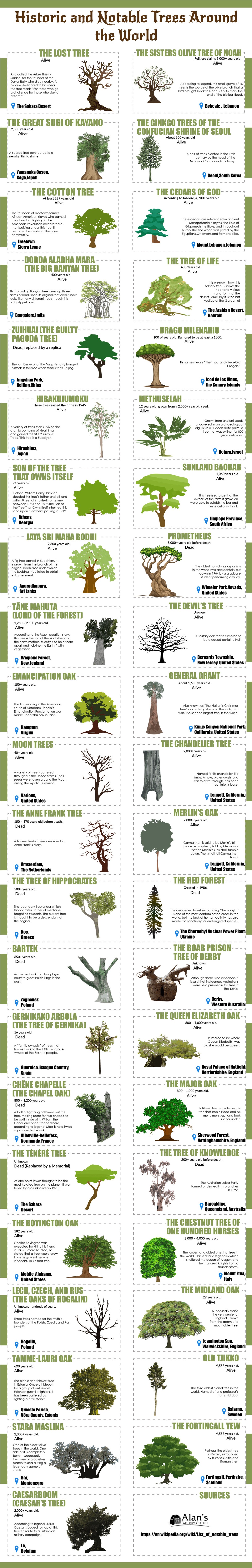 Historic and Notable Trees Around the World infographic Visualistan