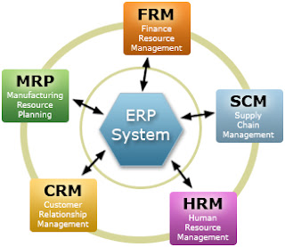SAPWORLD: INTRODUCTION OF ERP